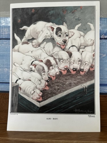 Bonzo print 1922 portfolio the - print,