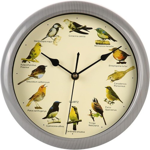 Species bird song - species,