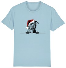 STAFFORDSHIRE BULL TERRIER