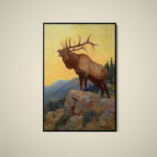 Philip goodwin bugling elk - r,