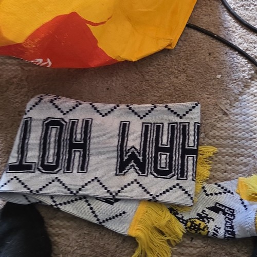 Tottenham hotspurs scarf - tottenham,