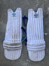 GM Cricket Batting Pads –