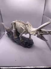 Replica triceratops skeleton - replica,