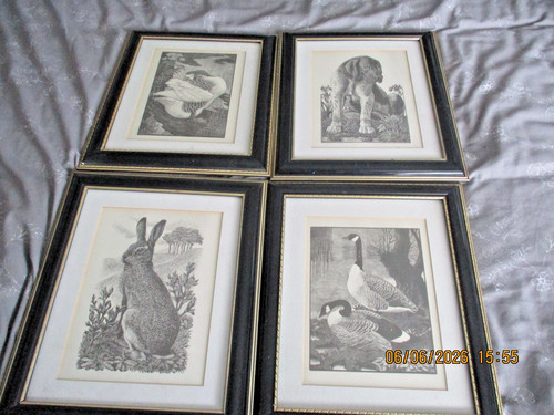 Four framed tunnicliffe - framed, cf
