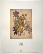 Charles Mackintosh pencil & watercolour Spurge Flower print