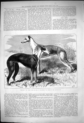 Antique old print brigadier - antique,