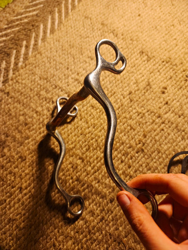 Western curb bit - western, shanks