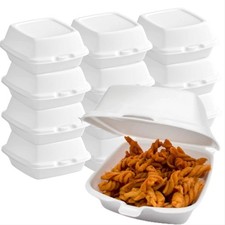 Foam Containers, Disposable