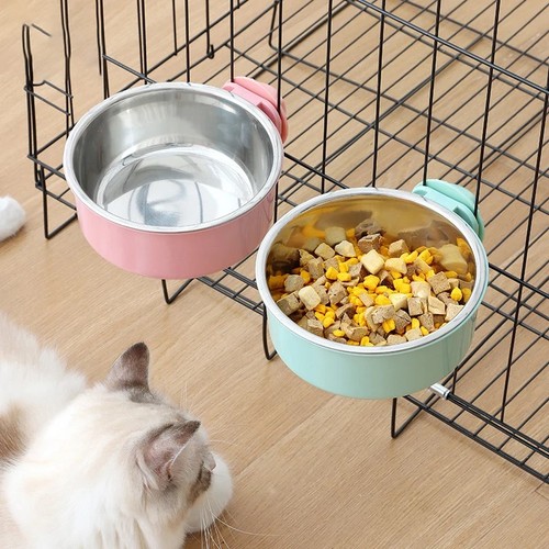 Pet dog puppy stainless - dog,