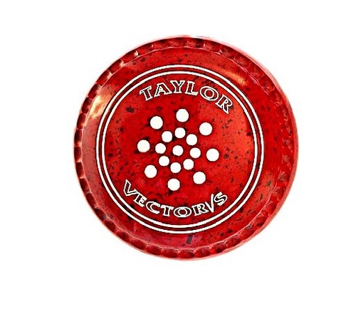 Taylor vector lawn - vector, vs
