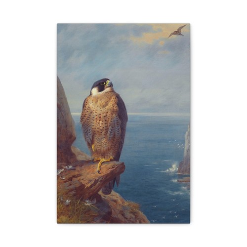 Archibald thorburn a - thorburn,