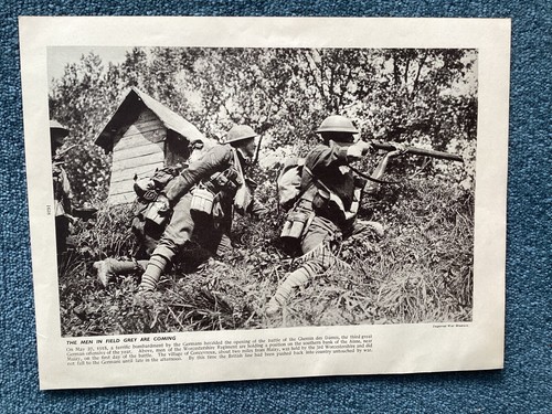 Worcestershire regiment nr - worcestershire,