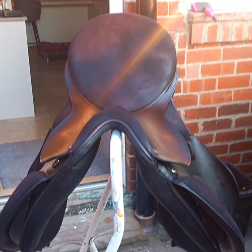 Thorowgood black dressage - thorowgood,
