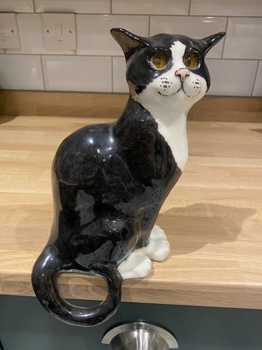 Winstanley cat chat - cat, noir