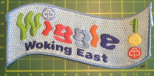 Wiggle woking east - east, 100