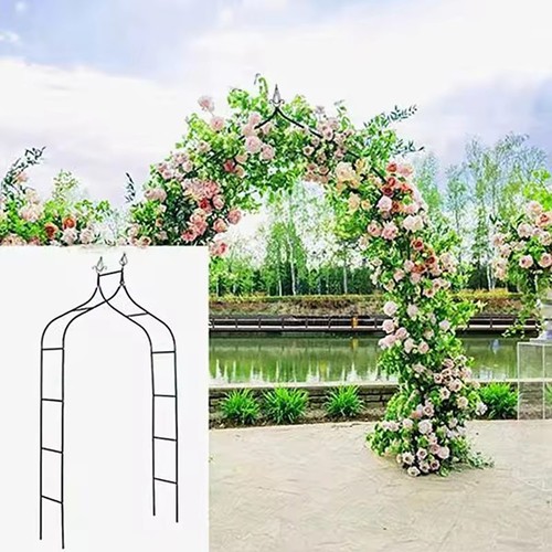 Garden arch rose - garden, climbing