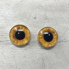 Realistic glass eyes, amber