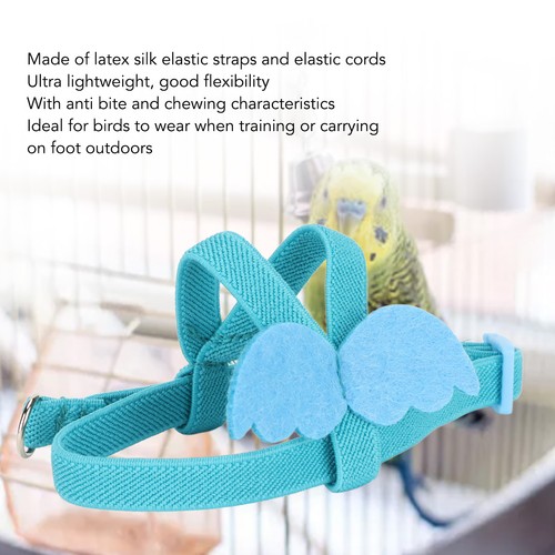 Flying leash extra - leash, extra-long