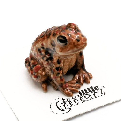 Little critterz toad - critterz,
