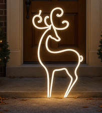 Christmas LED Rope Light