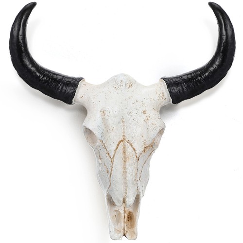 Skull wall hanging resin - wall, bull
