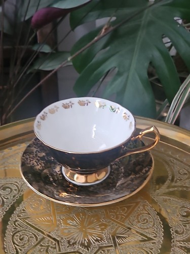Staffordshire elizabethan - staffordshire,