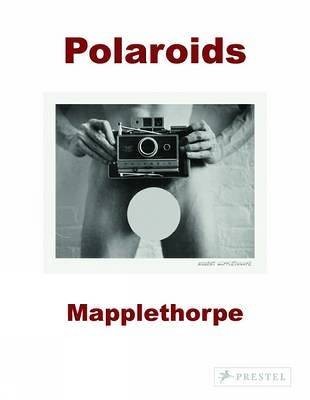 Robert mapplethorpe sylvia - robert, mapplethorpe,