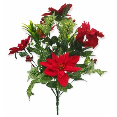 Poinsettia holly berry bush - holly,