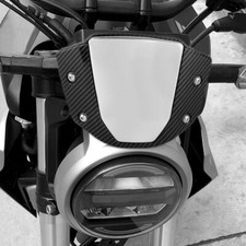 Carbon Windscreen Windshield