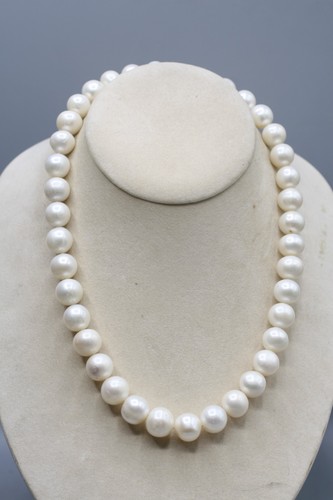 Freshwater white large - freshwater, 12-13
