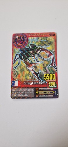 Stag beetle animal - beetle,