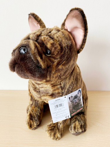 Brindle french bulldog it - french, bulldog,