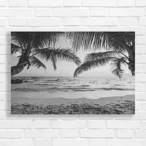 Tropical sunset beach - beach, black