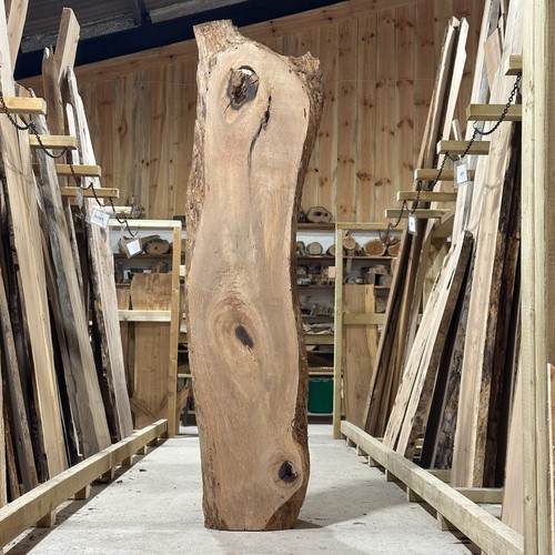 Holm oak plank board waney - oak,
