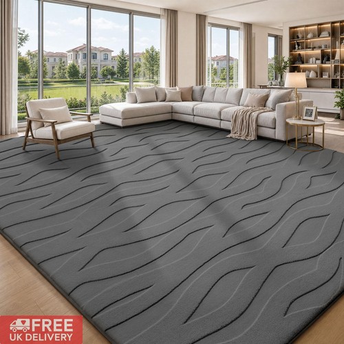 Modern large area rugs - modern,