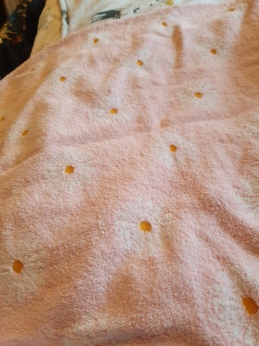 Next daisy bath towel 100 - bath, 100%