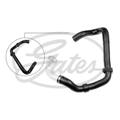 Radiator hose for golf plus - radiator,