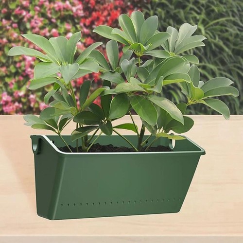 Wall hanging planter plant - hanging,