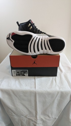 Air jordan retro - 12,