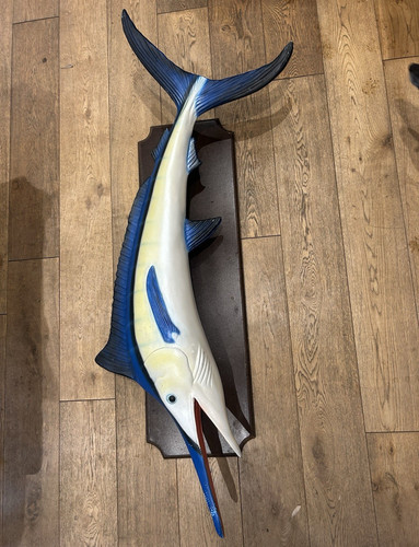 Marlin fish wall - marlin,