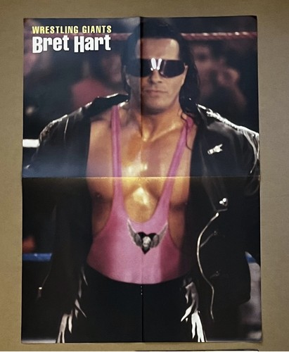 Wwf superstars bret hart - wwf,