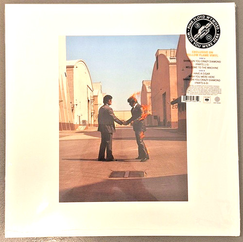 Pink floyd wish you were - wish,