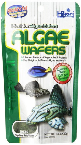 Hikari algae wafer - wafer, catfish