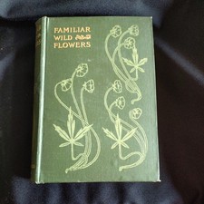 FAMILIAR WILD FLOWERS R EDWARD