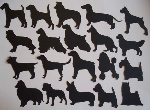 Self adhesive gloss vinyl - 8,