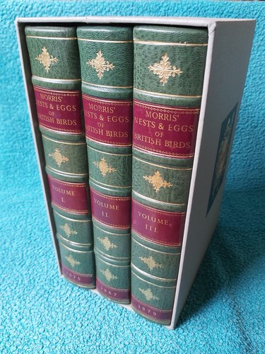 Morris nests eggs of - morris', &