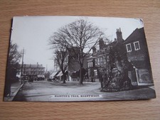 Martyrs tree brentwood essex - tree,