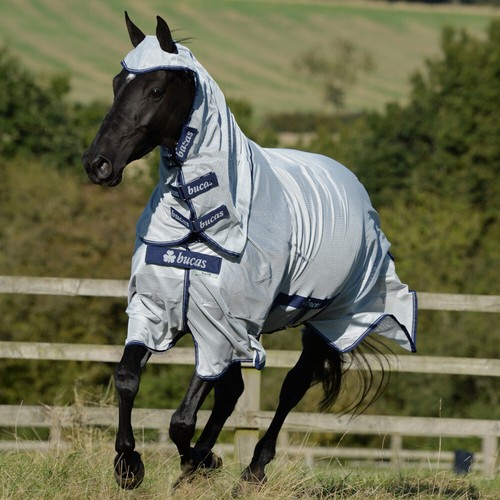 Bucas buzz off - bucas, x