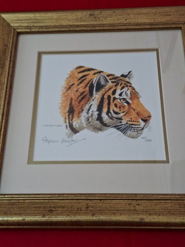 Indian tiger signed by - tiger,