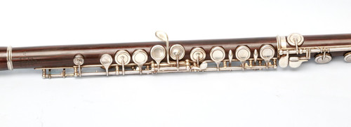 Beautiful wooden concert - wooden, flute